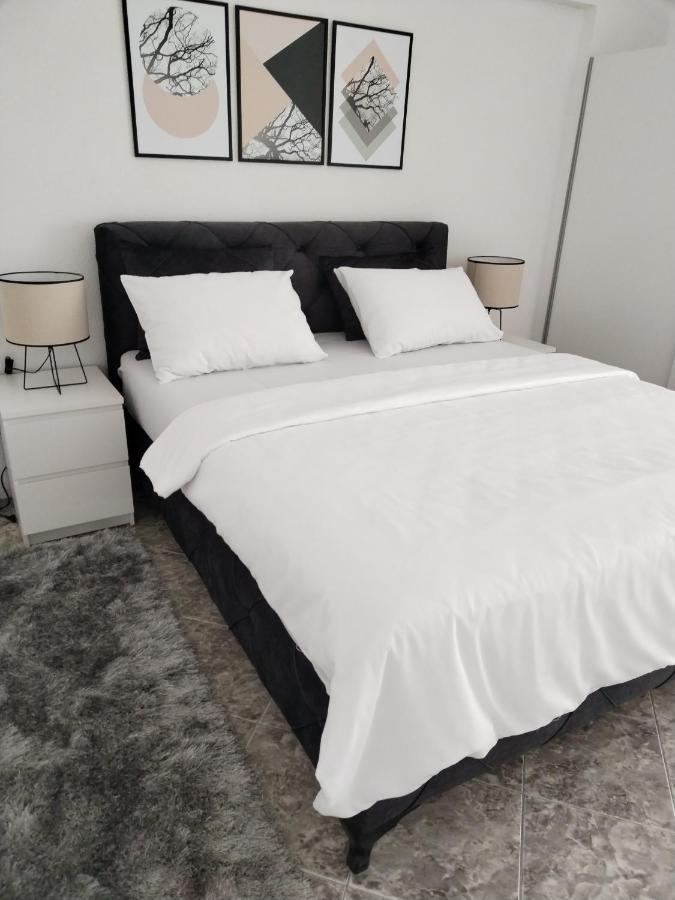 Stan Na Dan Renata Apartment Sremska Kamenica